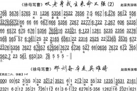 叹老身我生来命不强2简谱