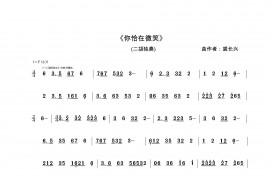 你恰在微笑（二胡独奏旋律谱）音乐简谱