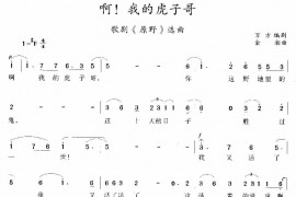 啊，我的虎子哥简谱