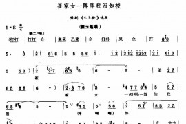 崔家女一阵阵我泪如梭简谱