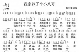 我家养了个小八哥简谱