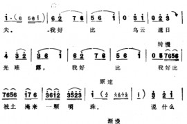 金印记3简谱
