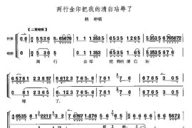 两行金印把我的清白玷污了（《野猪林》林冲唱段）简谱