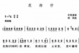 花狗仔简谱