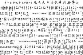见儿夫不由我珠泪垂掉2简谱