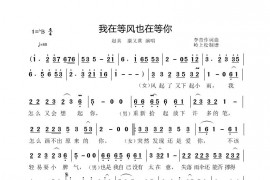 我在等风也等你简谱