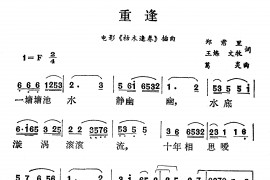 重逢（电影《枯木逢春》插曲）简谱