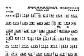 那梅妃楼东赋无限忧怨（《梅妃》选段，京胡伴奏谱）简谱