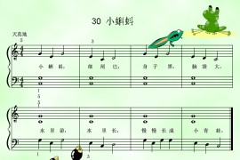 小蝌蚪简谱