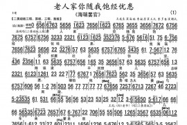 老人家你随我饱经忧患（《海瑞罢官》选段、琴谱）简谱