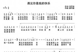 遇见你是我的快乐音乐简谱
