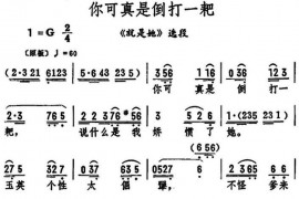 你可真是倒打一耙（《就是她》选段）简谱