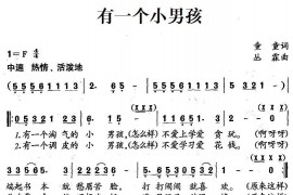 有一个小男孩简谱