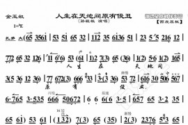 人生在天地间原有俊丑简谱