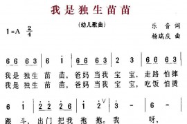 我是独生苗苗简谱