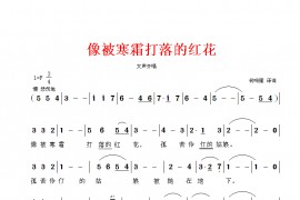 像被寒霜打落的红花—（原译词）简谱