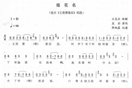 报花名：王美蓉观花唱段（二人转）简谱