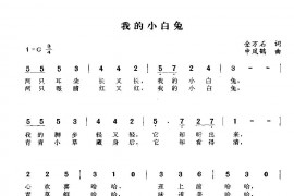 我的小白兔简谱