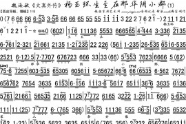 杨玉环生至在那华阴小郡1简谱