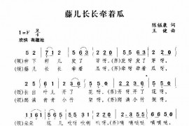 藤儿长长牵着瓜简谱