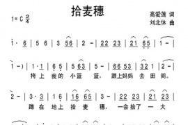 拾麦穗简谱