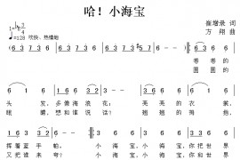 哈！小海宝简谱