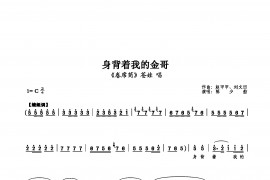 身背着我的金哥简谱