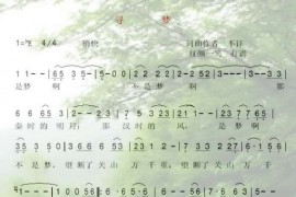 寻梦简谱