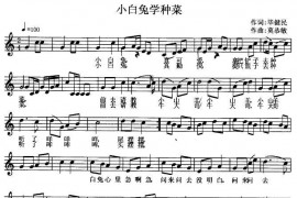 小白兔学种菜（五线谱）简谱
