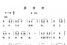 藤缠树简谱