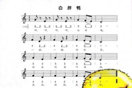 白胖鸭(彩图版）简谱