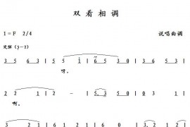 双看相调简谱