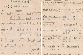 没有眼泪，没有悲伤（1）（洪湖）简谱