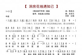 洞房花烛遇知己简谱