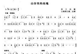 山谷里的玫瑰音乐简谱