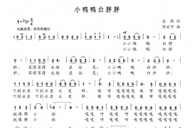 小鸭鸭白胖胖简谱