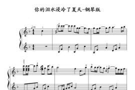 你的泪水浸冷了夏天简谱