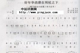 好时光消磨在刑杖之下简谱