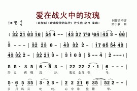 爱在战火中的玫瑰（电视剧《玫瑰绽放的年代》片头曲）简谱
