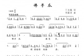 佛手瓜简谱