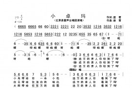 小卓玛简谱